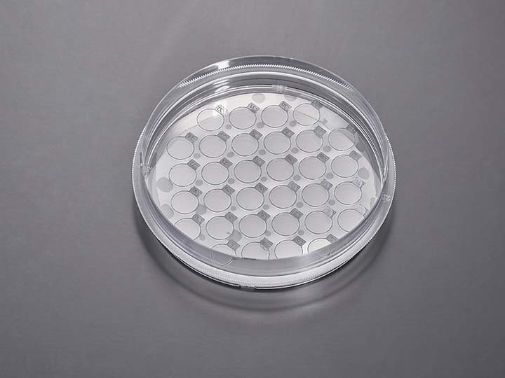 内页720×540 拷贝.jpg