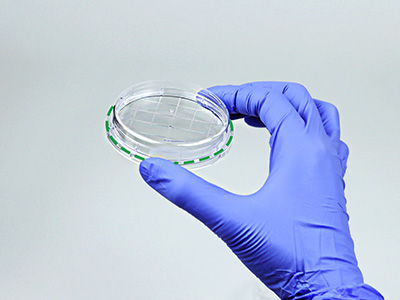 皿底抬高与边缘持握设计， 方便握取与操作，稳定叠放不易倒