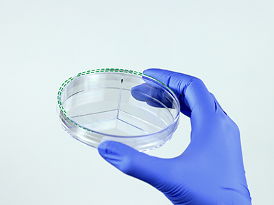 皿盖边缘突起设计，有利于培养皿稳定叠放